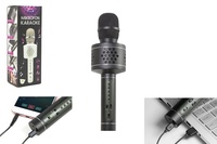 Mikrofon Karaoke Bluetooth černý s USB kabelem