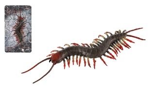 Stonožka natahovací antistresová silikon 20cm na kartě