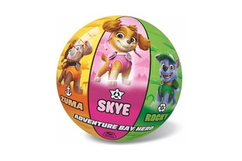 Míč Tlapková patrola/Paw patrol nafouknutý 14cm