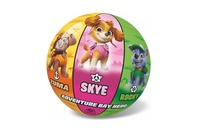 Míč Tlapková patrola/Paw patrol nafouknutý 14cm