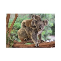 Dino Puzzle Koala s mláďátkem 300XL dílků