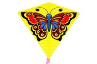 Létající Drak motýl plastový 68x73cm