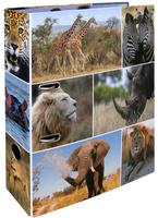 Herma Pořadač pákový Animals Afrika 7cm A4