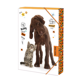 Argus Školní Box na sešity s klopou Mazlíčci Forever Friends A4