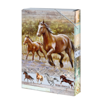 Školní Box na sešity A4 Wild Horses