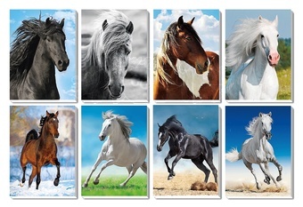 Trhací zápisník s magnetem Koně 3D efekt