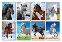 Trhací zápisník s magnetem Koně 3D efekt