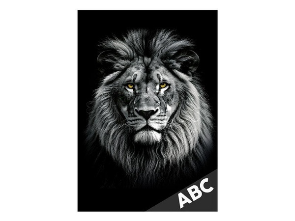 Desky na ABC Lev
