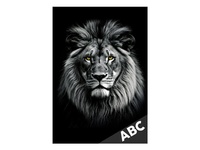 Desky na ABC Lev