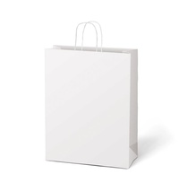 Taška MFP dárková T10 kraft 310x450x140 bílá