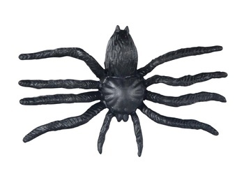 Pavouk plast 6cm 6pcs černý