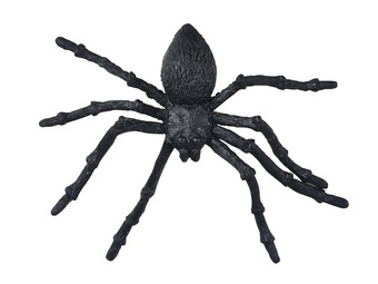 Pavouk plast 11,5cm 2ks