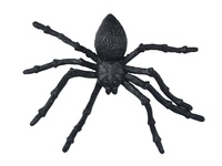 Pavouk plast 11,5cm 2ks