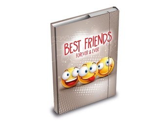 MFP Školní Box na sešity Best Friends A5