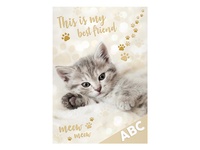 Desky na ABC MFP Kočka