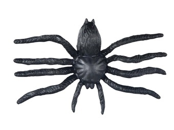 Pavouk černý 8cm 6ks