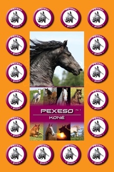 Tojemi Pexeso Koně