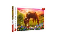 Puzzle Rodina koní 500 dílků 48x34cm v krabici 40x26,5x4,5cm
