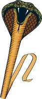Günther Létající drak Cobra 69x400cm jednošňůrový Ripstop-Polyester