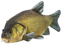 Lín plyšový 50cm 0m+ v sáčku