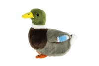 Kačer kachny divoké plyš 18cm plněná kuličkami 0m+