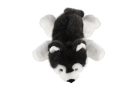 Pes husky ležící plyš 30cm 0m+
