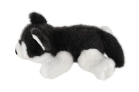 Pes husky ležící plyš 30cm 0m+