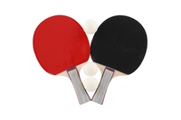 Sada stolní tenis ping pong 2ks pálky + 3 míčky v pouzdru