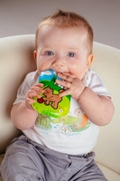 Pískací polštářek Moje první zvířátka různé druhy