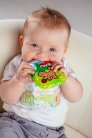 Pískací polštářek Moje první zvířátka různé druhy