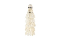 Míčky/Košíčky na badminton péřové 5ks v tubě 6,5x19,5x6,5cm