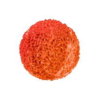 Míček antistresový mačkací mech 7,5cm