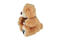 Medvěd sedící plyšový 25cm 2 barvy