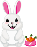 Králík Ben plyšový skákající 17cm se zvukem