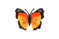 Motýl Monarcha africký (babočka) zooted plast 7cm