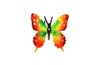 Motýl tropický Papilio/otakárek barevný zooted plast 6cm