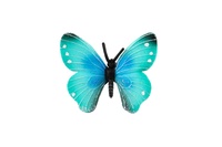 Motýl tropický Morpho Helena zooted plast 7cm