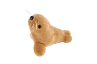 Zvířátko mořské plyš 10-12cm 4 druhy 12ks v boxu 3m+