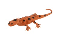 Ještěrka/Ještěr plast 20cm mix druhů 16ks v boxu