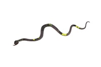 Had plast 23cm mix druhů 60ks v boxu