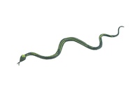 Had plast 23cm mix druhů 60ks v boxu