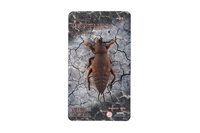 Gekon antistresový natahovací silikon 18cm na kartě