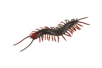 Stonožka natahovací antistresová silikon 20cm na kartě