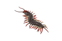 Stonožka natahovací antistresová silikon 20cm na kartě