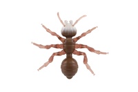 Mravenec antistresový pevné tělo plast/silikon 19x18cm 4 barvy na kartě