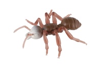 Mravenec antistresový pevné tělo plast/silikon 19x18cm 4 barvy na kartě