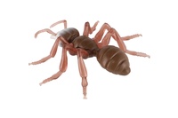 Mravenec antistresový pevné tělo plast/silikon 19x18cm 4 barvy na kartě