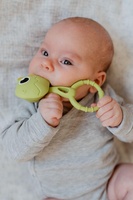 Chrastíček dino 2ks babyted chrastítko silikon 13x5cm na kartě 0m+