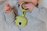 Chrastíček dino 2ks babyted chrastítko silikon 13x5cm na kartě 0m+