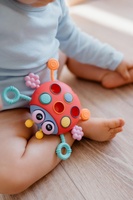 Tahoulíček beruška babyted plast 15x11cm v krabici 6m+